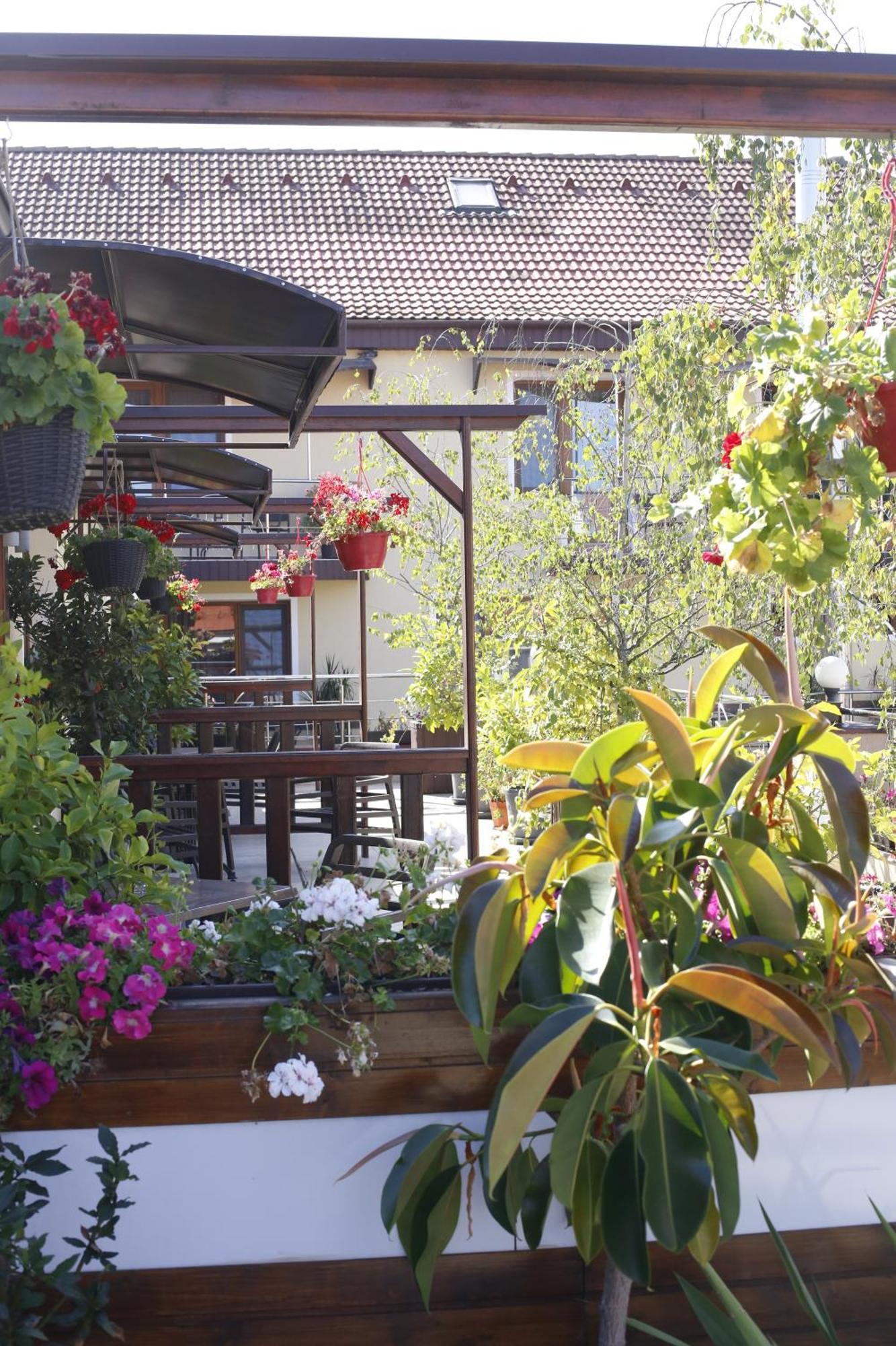 Hotel Bulevard Fagaras Luaran gambar